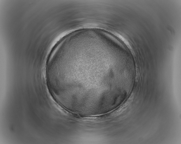 X0000112931342200909141326