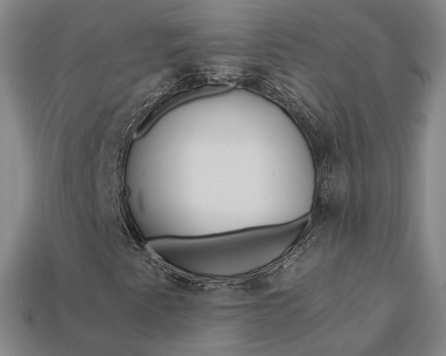 X0000112931345200909141325