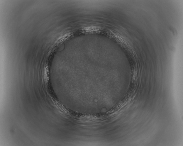 X0000112931346200909141325