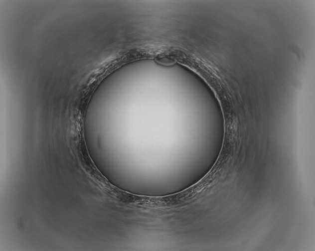 X0000112931349200909141325