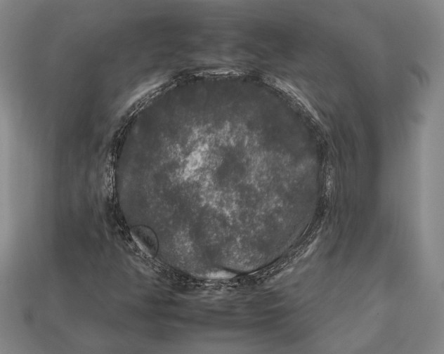 X0000112931350200909141325