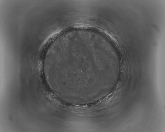 X0000112931351200909141325