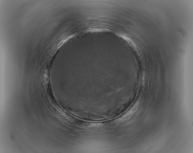 X0000112931353200909141325