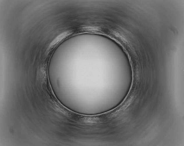 X0000112931354200909141325