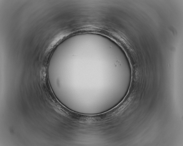 X0000112931355200909141325