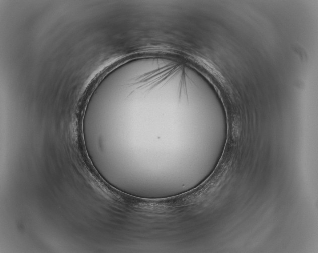 X0000112931356200909141325