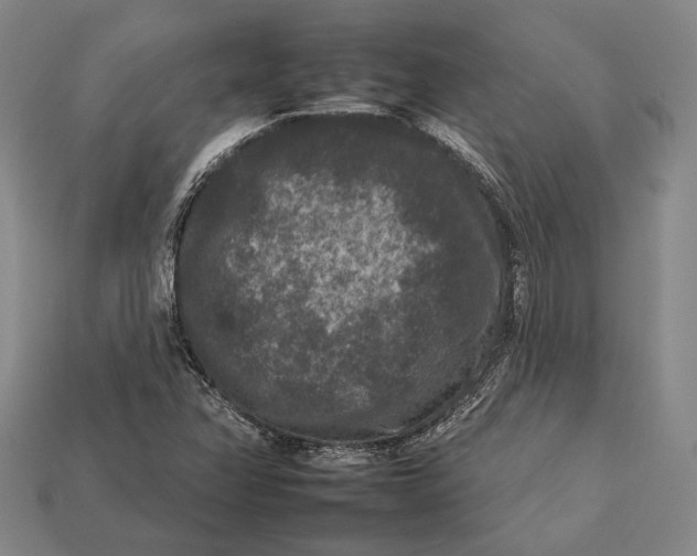 X0000112931358200909141325