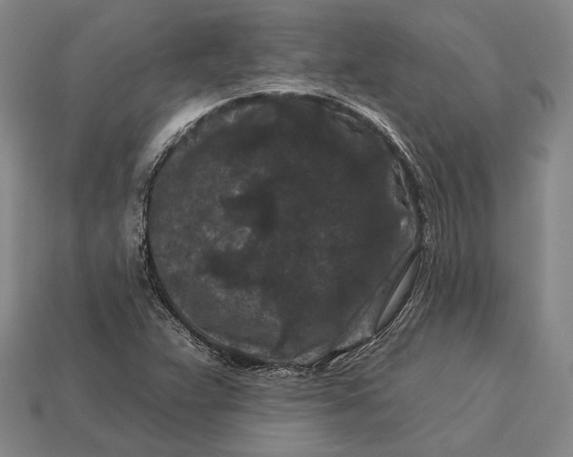 X0000112931359200909141325