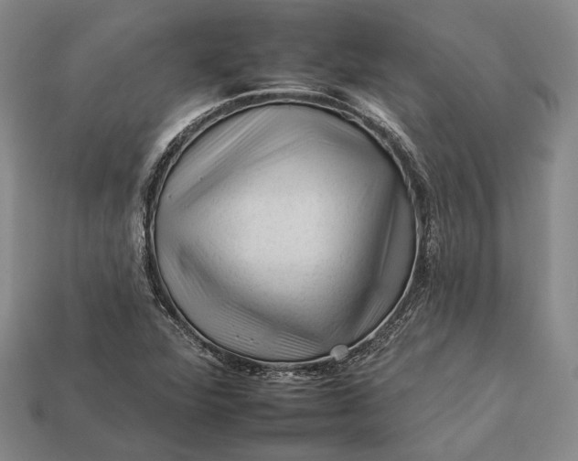 X0000112931360200909141325