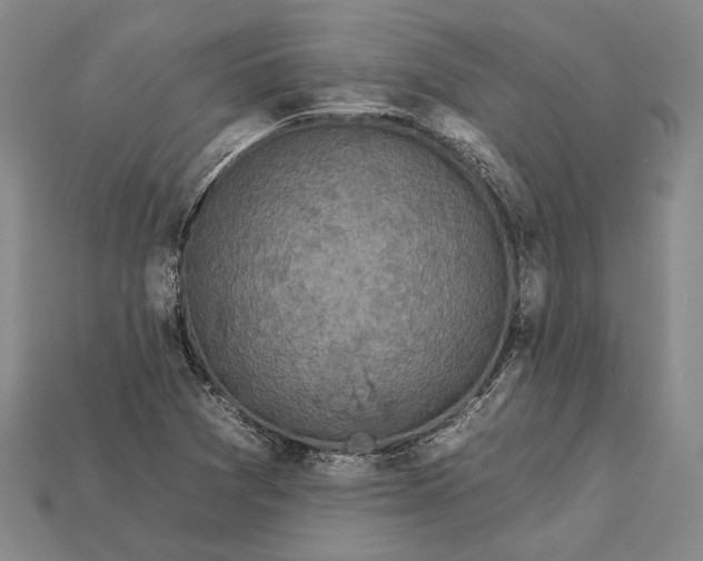 X0000112931361200909141325