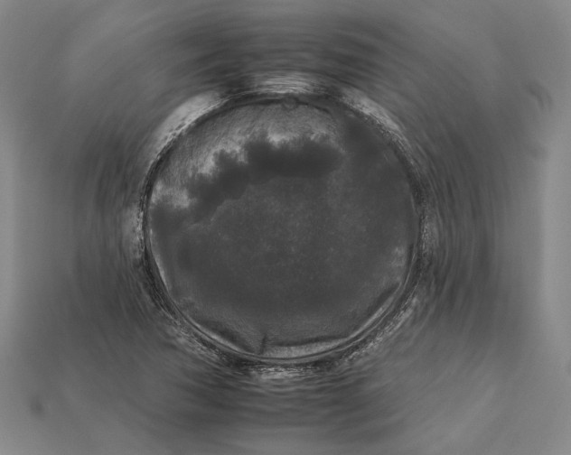 X0000112931362200909141325