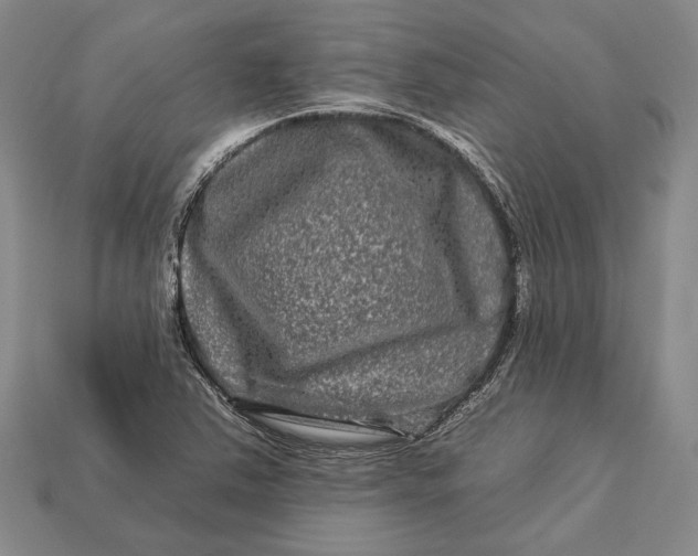 X0000112931363200909141325