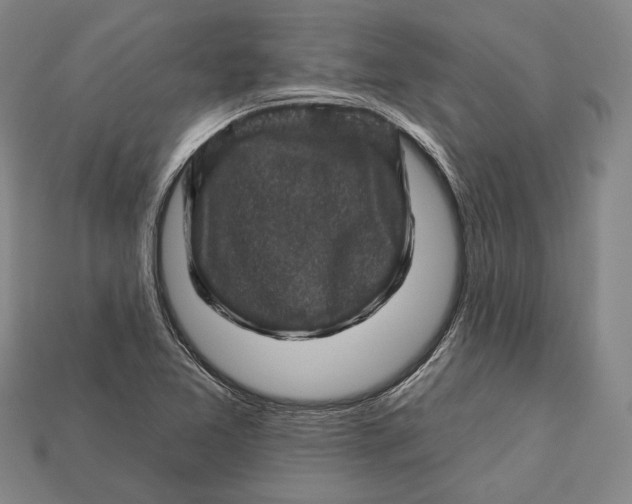 X0000112931365200909141325