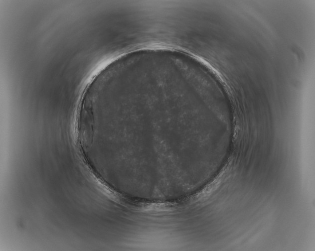 X0000112931367200909141325