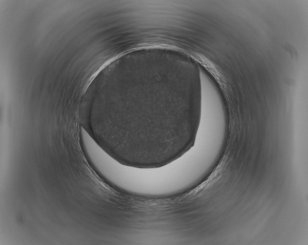 X0000112931369200909141325