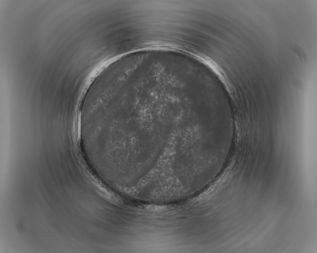 X0000112931371200909141325