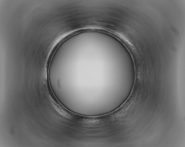 X0000112931372200909141325