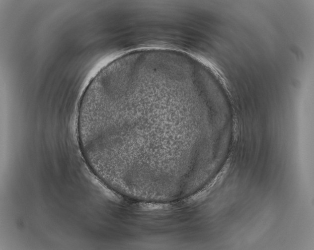 X0000112931374200909141325