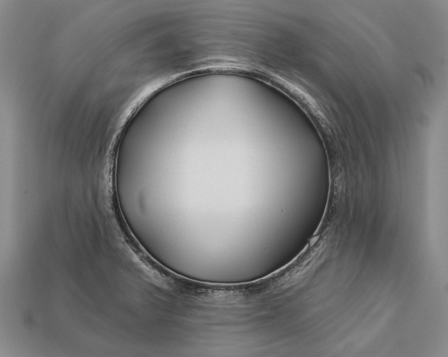 X0000112931375200909141325