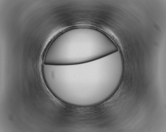 X0000112931376200909141325