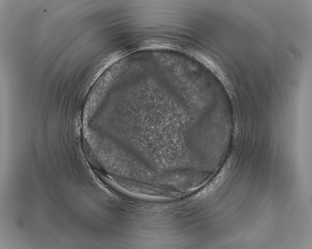 X0000112931377200909141325