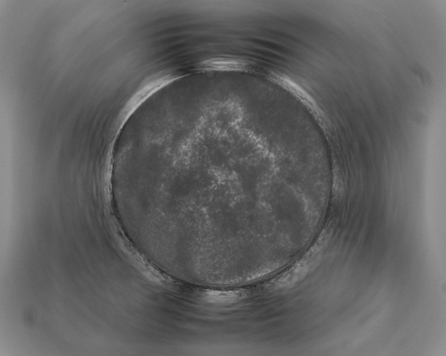 X0000112931378200909141325