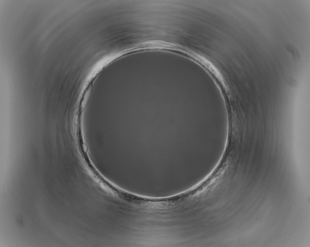 X0000112931381200909141324