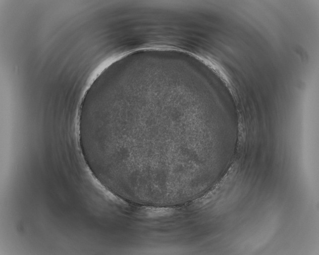 X0000112931382200909141324