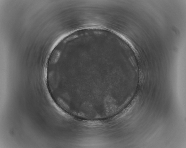 X0000112931383200909141324