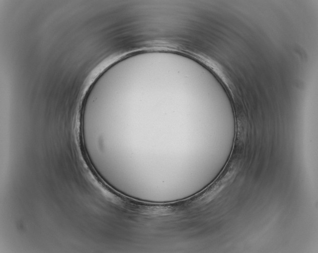 X0000112931387200909141324