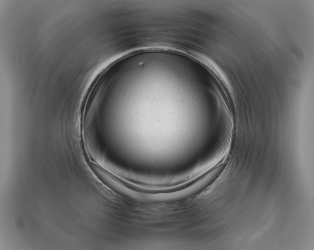 X0000112931388200909141324