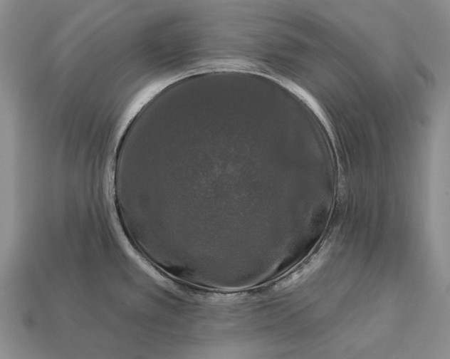 X0000112931389200909141324