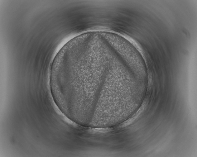 X0000112931390200909141324