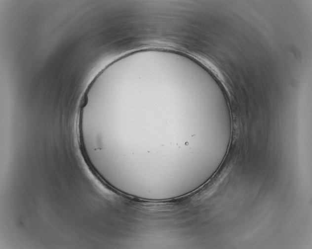 X0000112931391200909141324