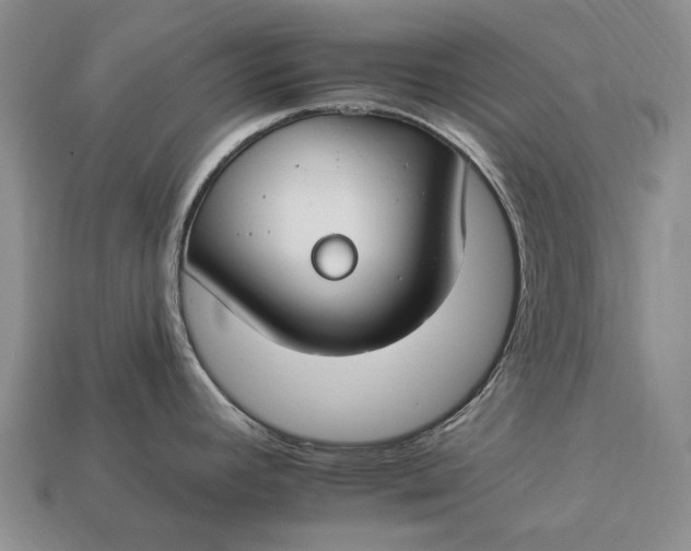 X0000112931392200909141324