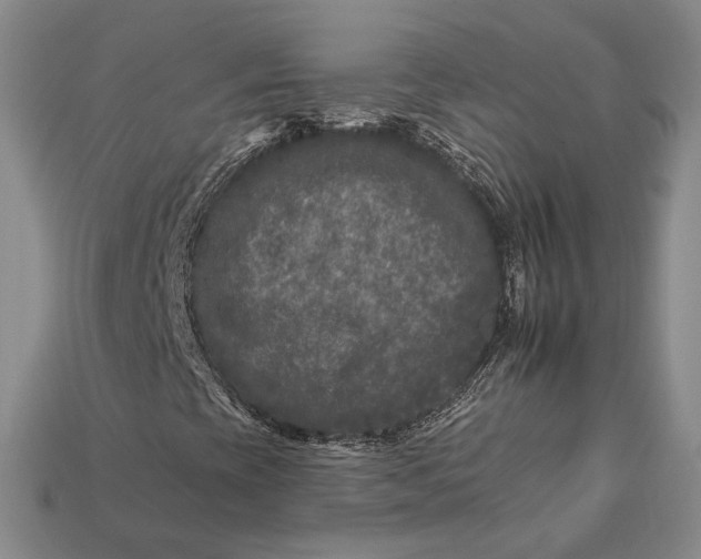 X0000112931393200909141323