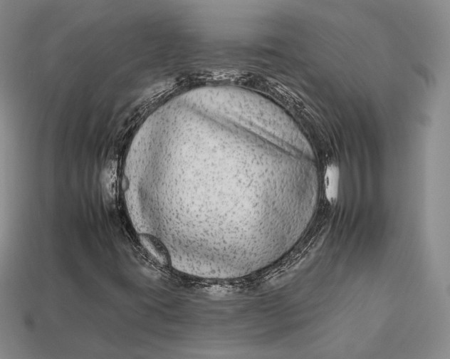 X0000112931395200909141323