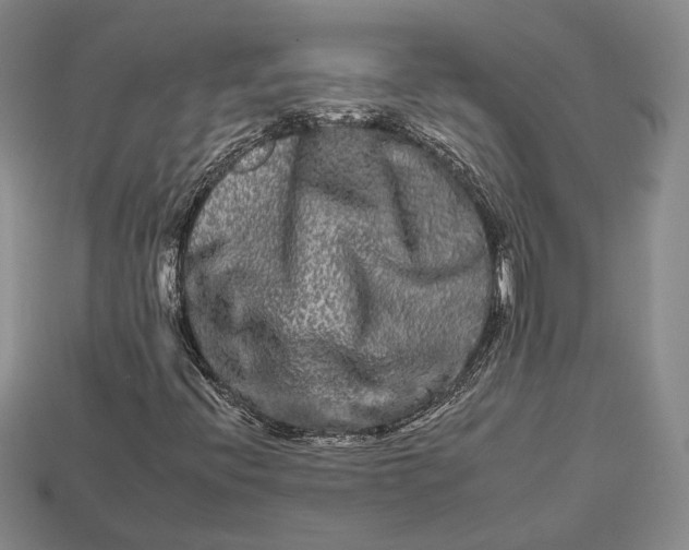 X0000112931396200909141323