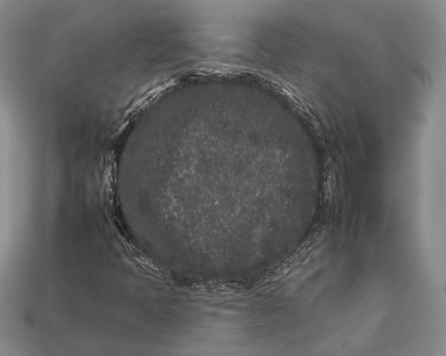 X0000112931397200909141323