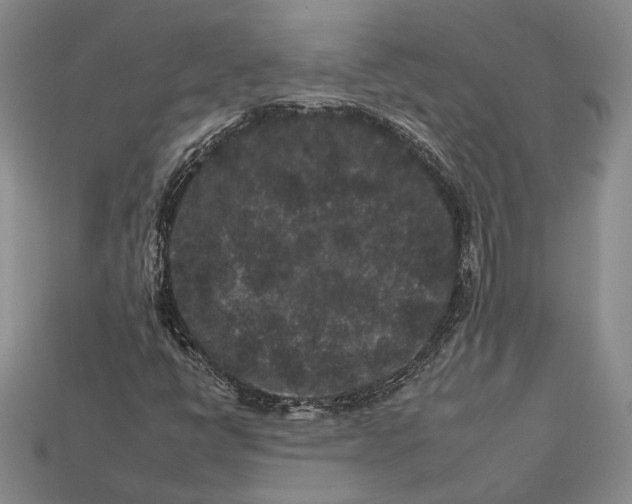 X0000112931398200909141323