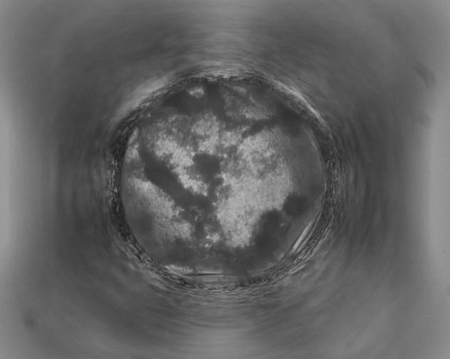 X0000112931399200909141323