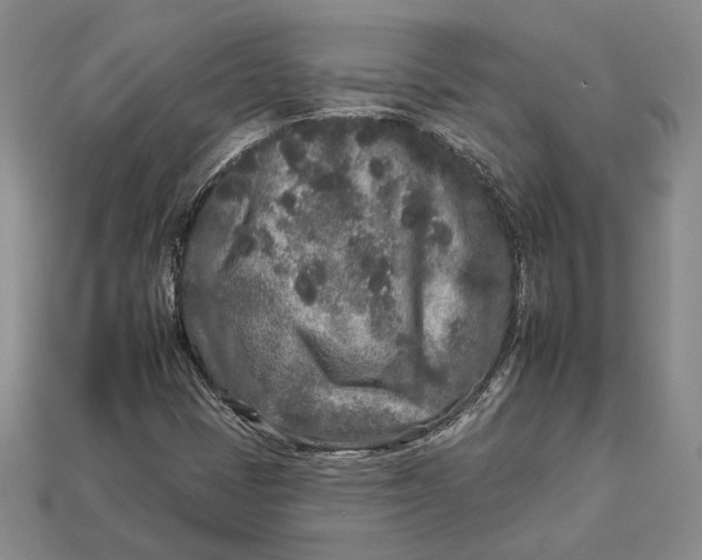 X0000112931401200909141324