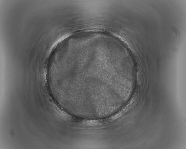 X0000112931402200909141324