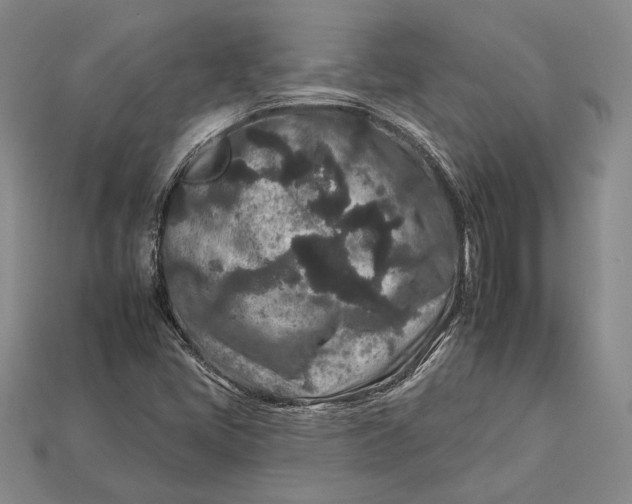 X0000112931405200909141324