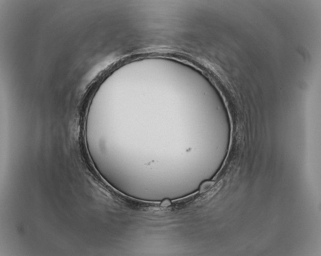 X0000112931406200909141324