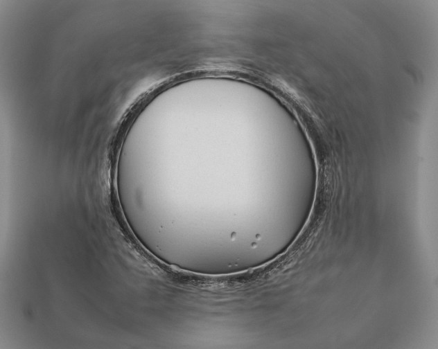 X0000112931408200909141324