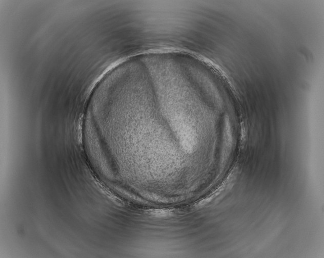 X0000112931409200909141324