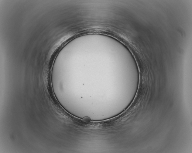 X0000112931410200909141324