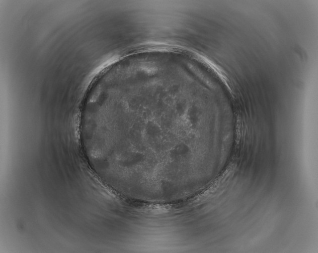 X0000112931411200909141324