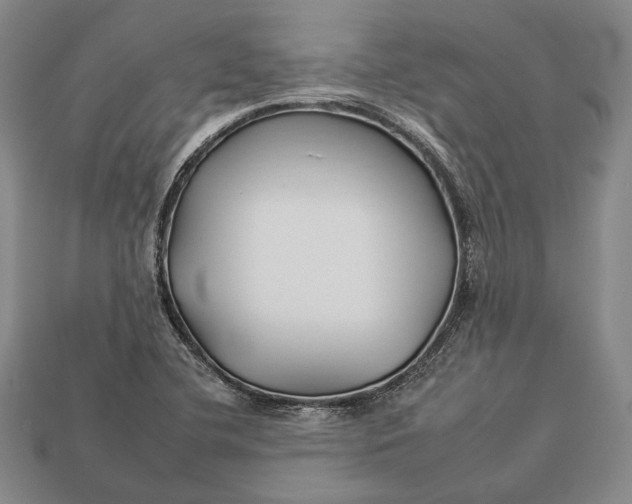 X0000112931412200909141324